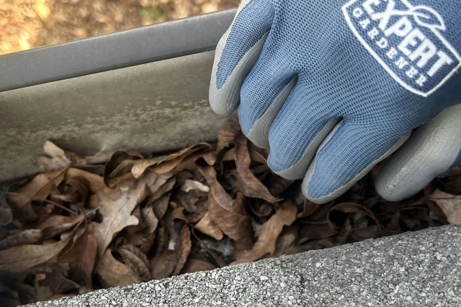 Gutter Cleaning Cayce