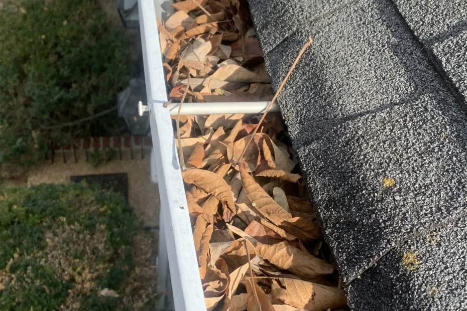 Gutter Cleaning Cayce