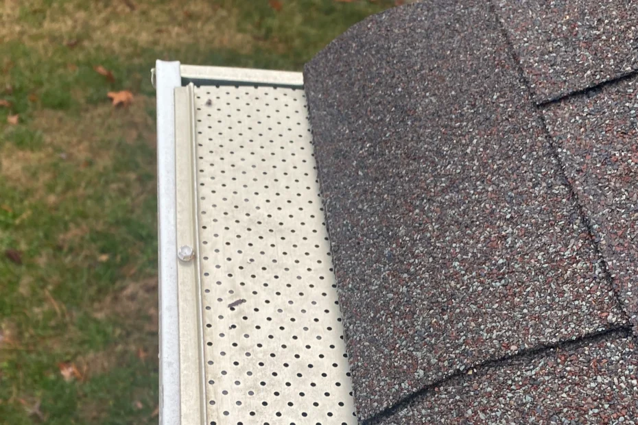 Gutter Cleaning Cayce