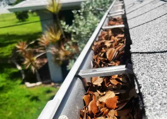 Gutter Cleaning Cayce home page